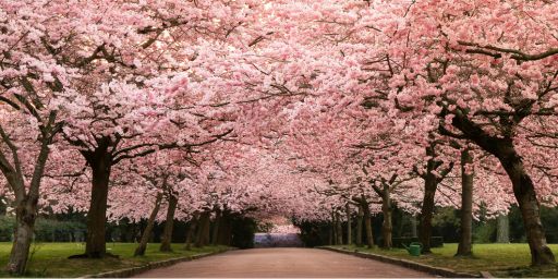 สถานที่ท่องเที่ยวยอดนิยมในญี่ปุ่น